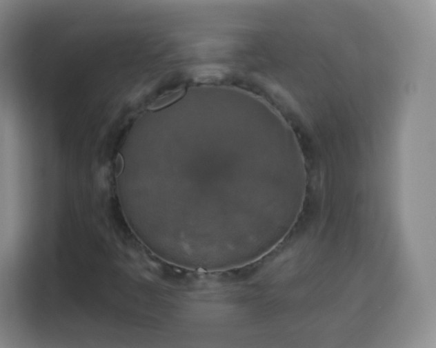 X0000113961445200910021516