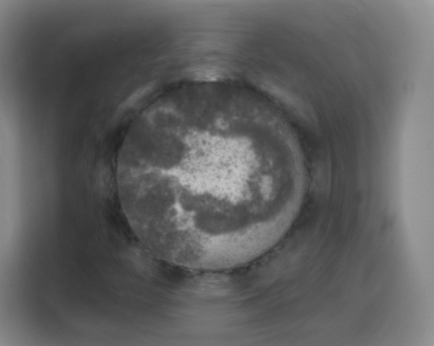 X0000113961446200910021516