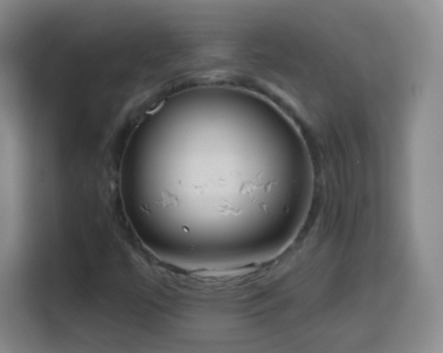 X0000113961447200910021516