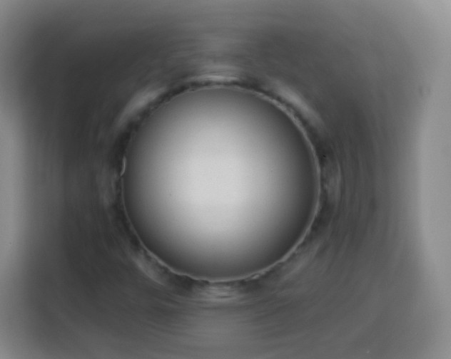 X0000113961448200910021516