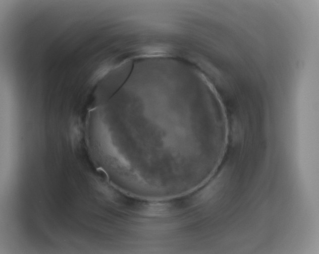 X0000113961449200910021516