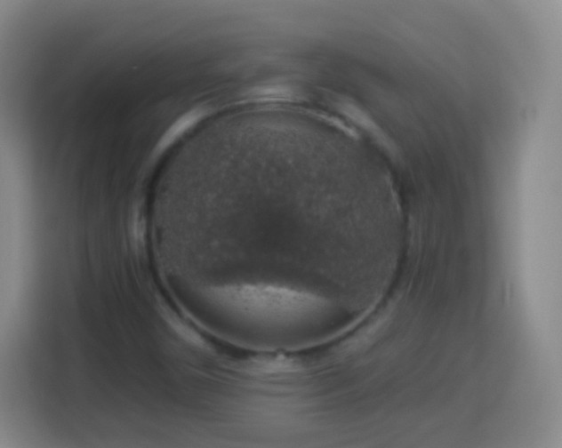 X0000113961450200910021516