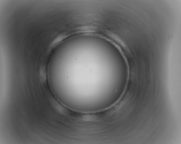 X0000113961451200910021516