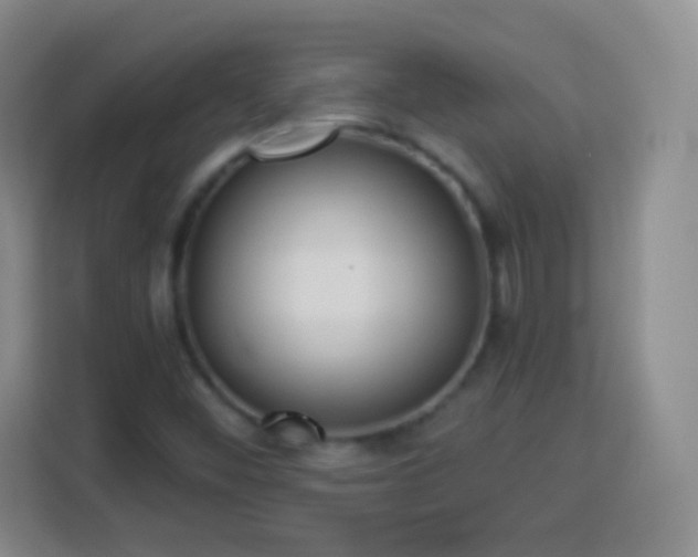 X0000113961452200910021516