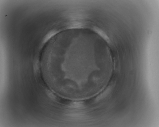 X0000113961453200910021516