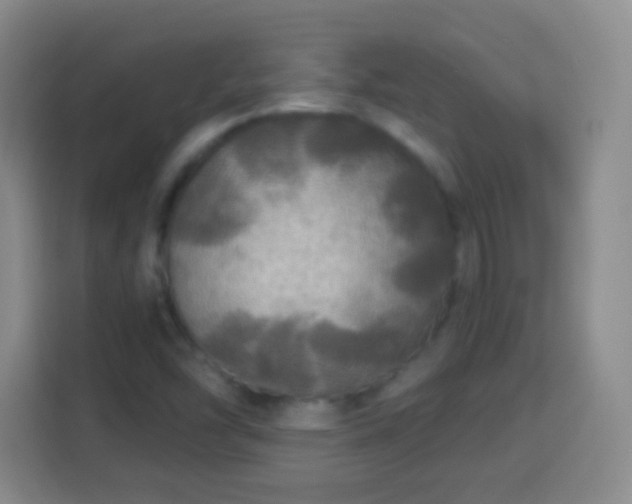 X0000113961454200910021516