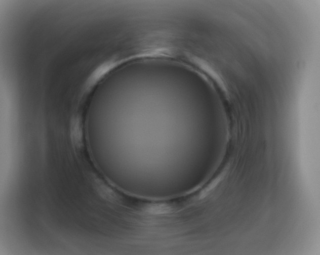 X0000113961455200910021516