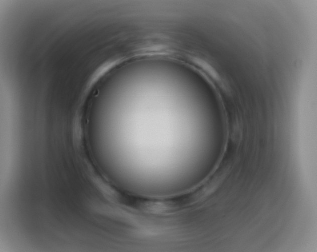 X0000113961458200910021516