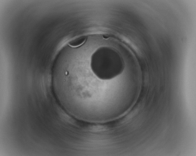 X0000113961459200910021516