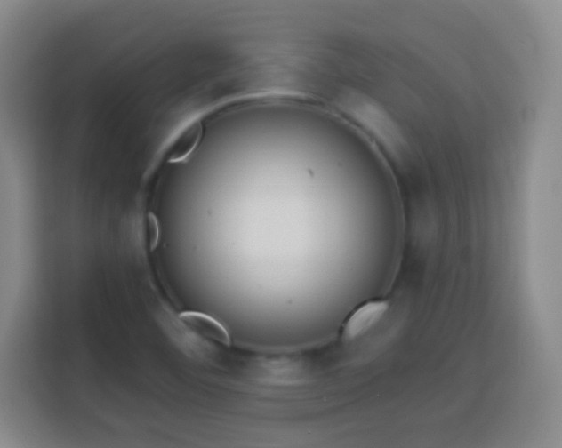 X0000113961460200910021516