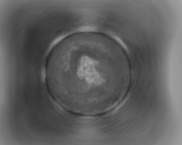 X0000113961461200910021516