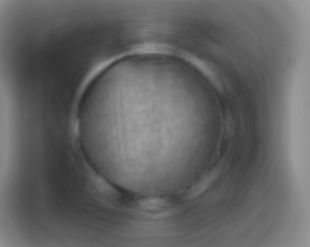 X0000113961462200910021516