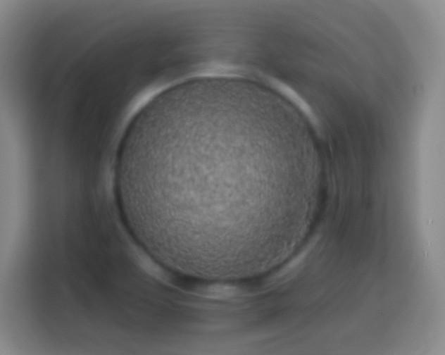 X0000113961463200910021516