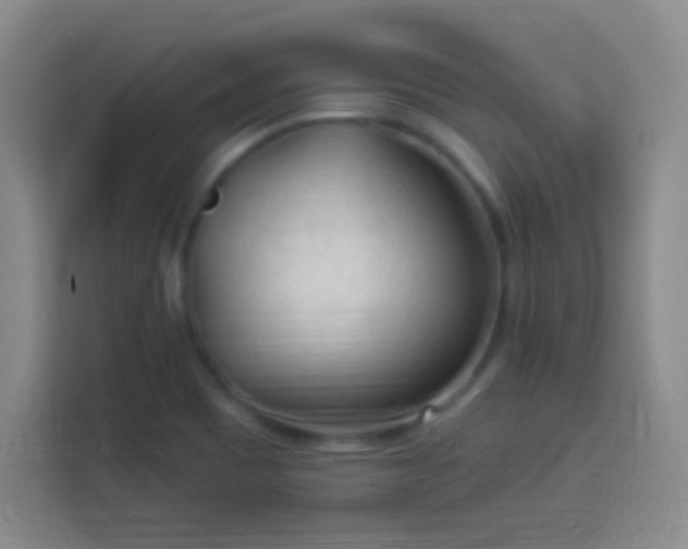 X0000113961465200910021516