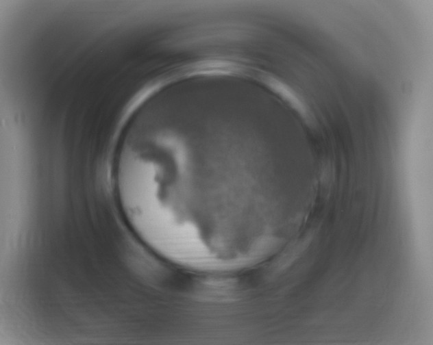 X0000113961466200910021516