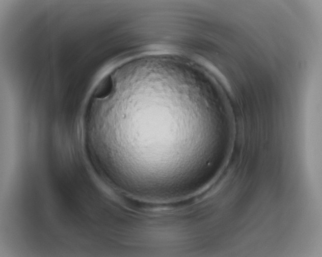 X0000113961467200910021516