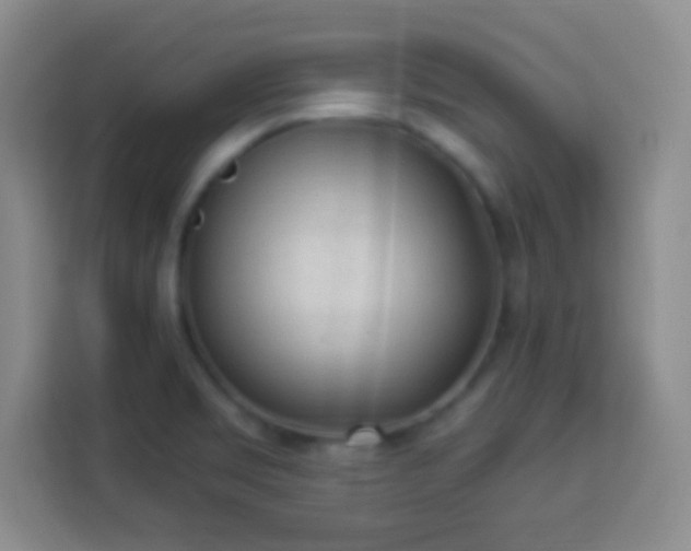 X0000113961469200910021516