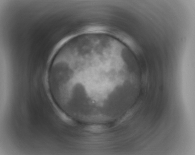 X0000113961470200910021516