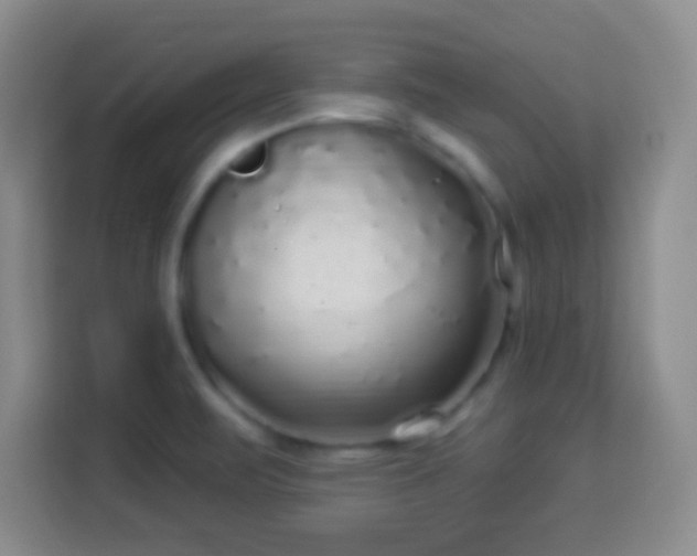 X0000113961471200910021516