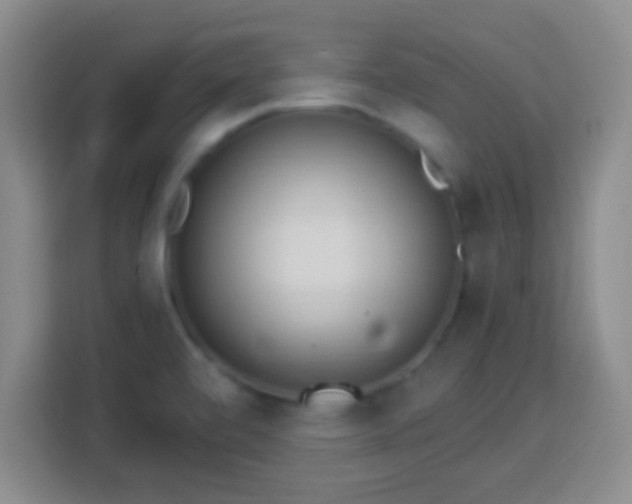 X0000113961472200910021516