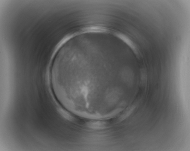 X0000113961474200910021516