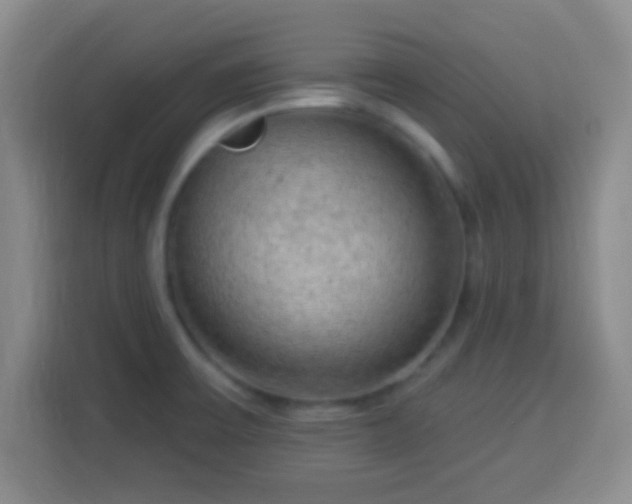 X0000113961475200910021516