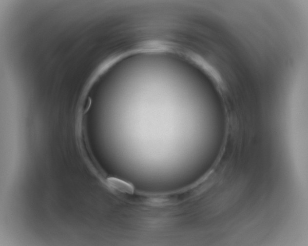 X0000113961477200910021516