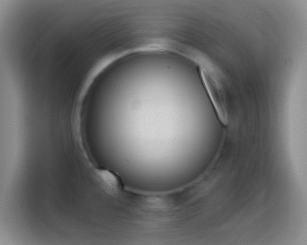 X0000113961480200910021516