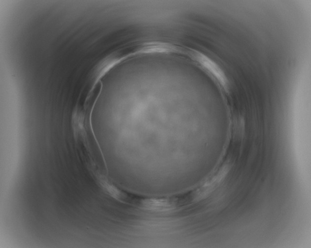 X0000113961481200910021516