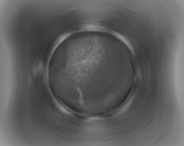 X0000113961482200910021516