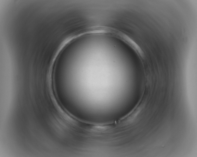 X0000113961483200910021516