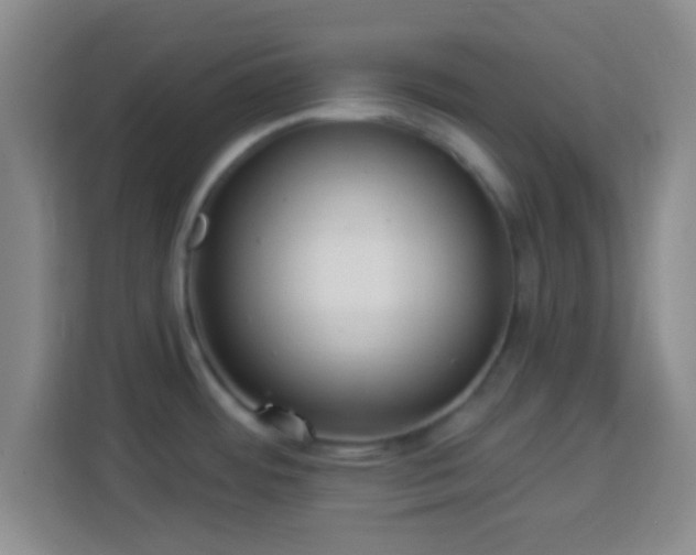 X0000113961484200910021516