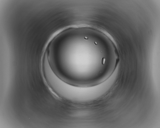 X0000113961485200910021516