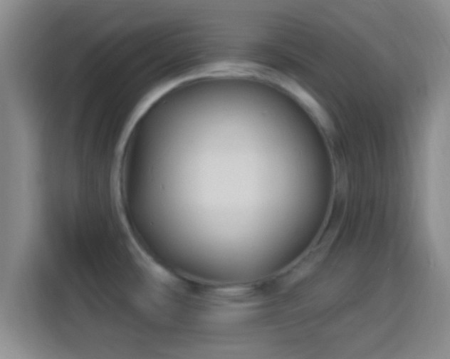 X0000113961486200910021516