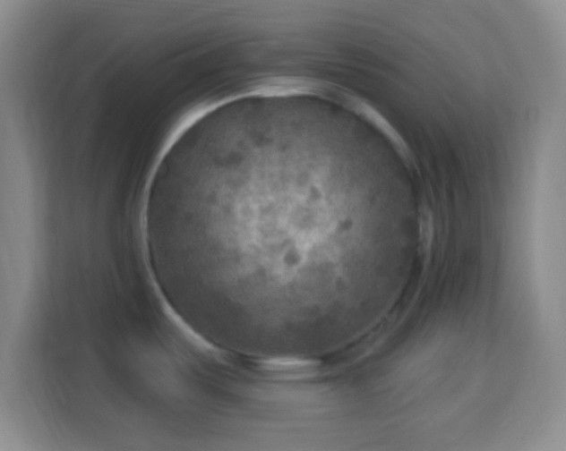 X0000113961487200910021516