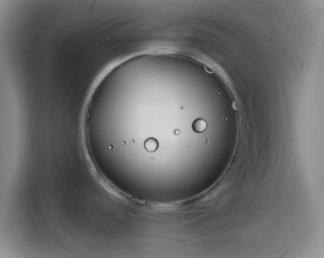 X0000113961488200910021516