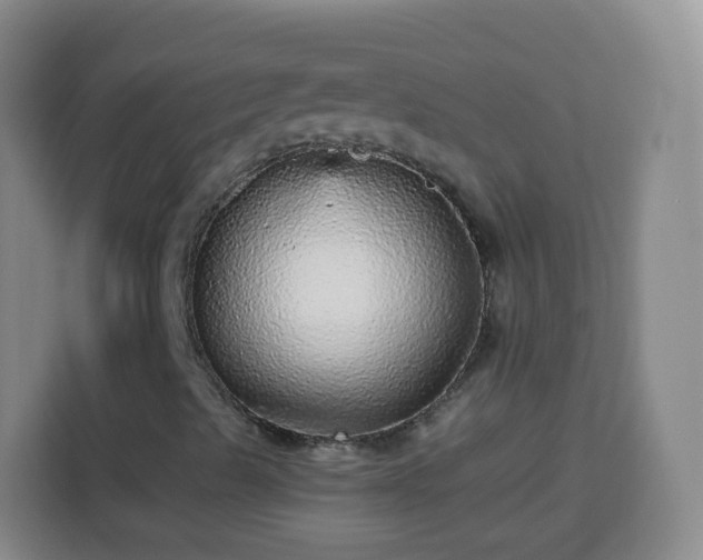 X0000113961489200910021515