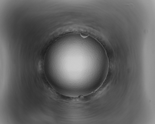 X0000113961490200910021515