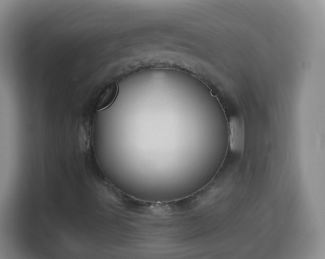 X0000113961491200910021515