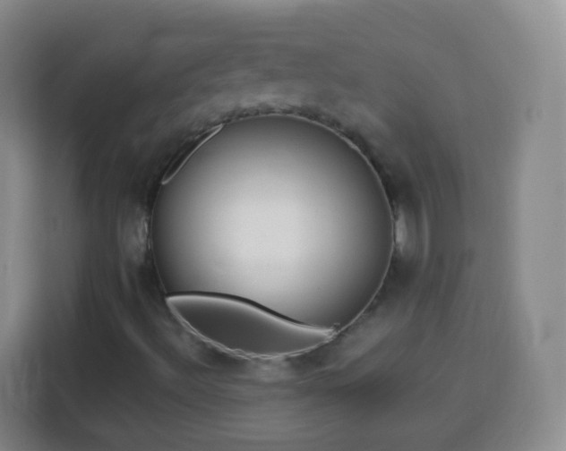 X0000113961492200910021515