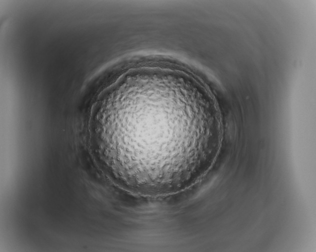 X0000113961494200910021515