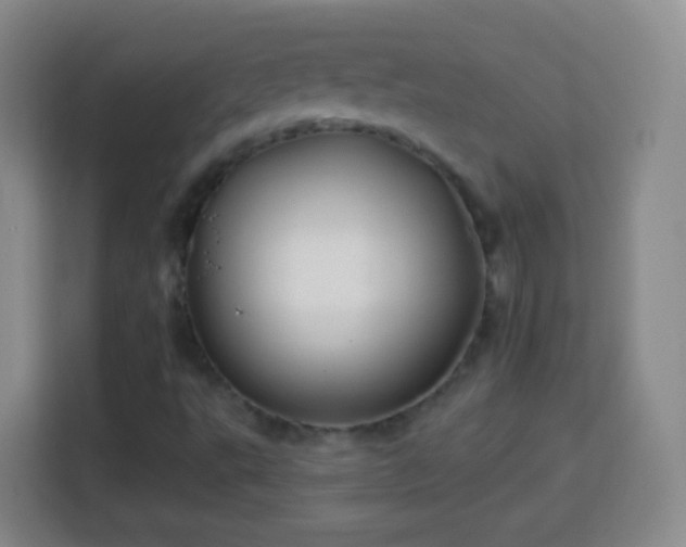 X0000113961495200910021515