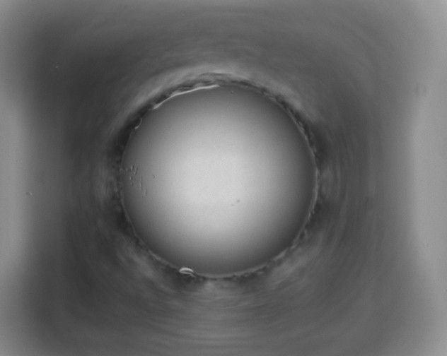 X0000113961496200910021515