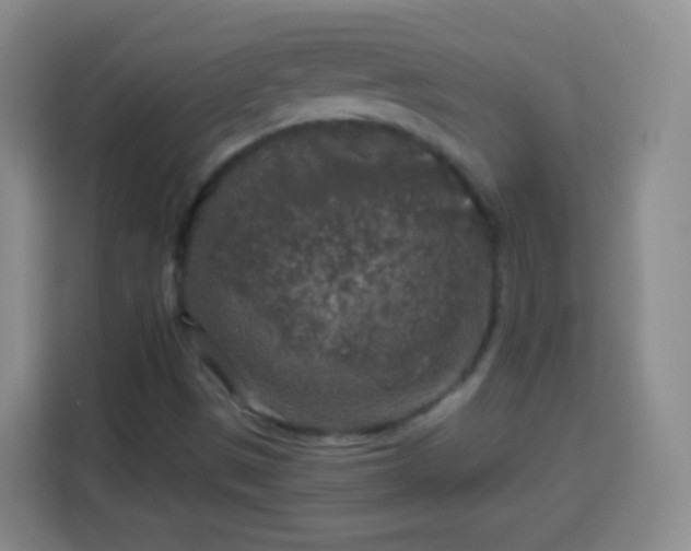 X0000113961497200910021515