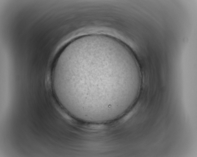 X0000113961498200910021515