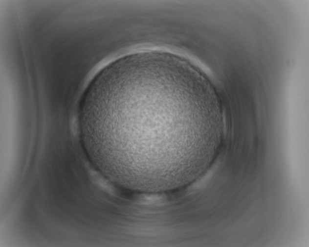 X0000113961501200910021515