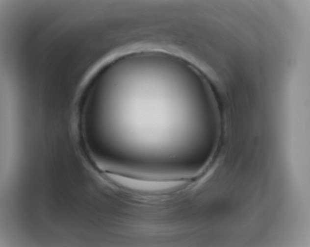 X0000113961502200910021515