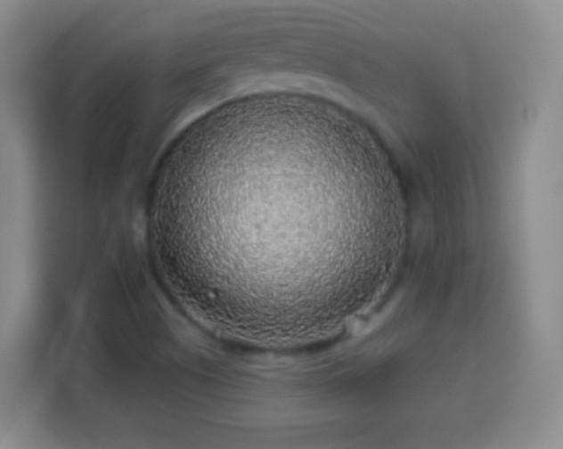 X0000113961505200910021515