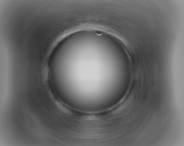 X0000113961507200910021515