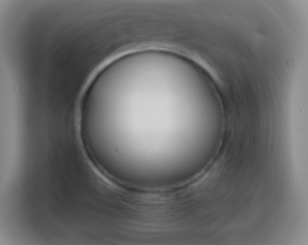 X0000113961508200910021515